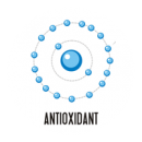 antioxidant antioxidant