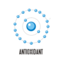 antioxidant antioxidant