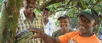 pronatec-cacao-responsibly-sourced