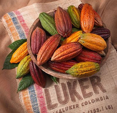 casa luker cocoa pods