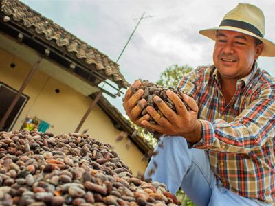 casa luker cocoa bean farmer