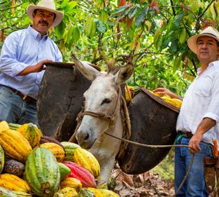 casa-luker-farmers