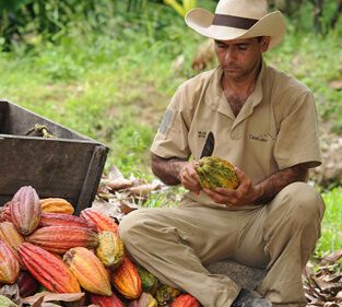 food-thoughts-cacao-nibs-casa-luker