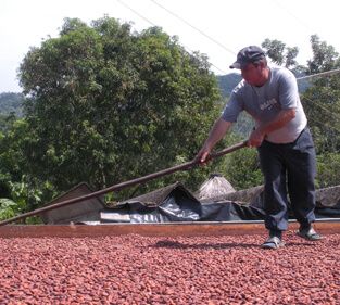 food-thoughts-cacao-nibs-casa-luker