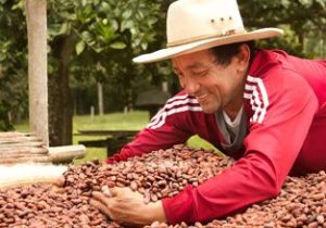 food-thoughts-cacao-nibs-casa-luker food-thoughts-cacao-nibs-casa-luker