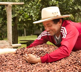 food-thoughts-cacao-nibs-casa-luker