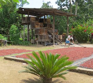 food-thoughts-cacao-nibs-casa-luker