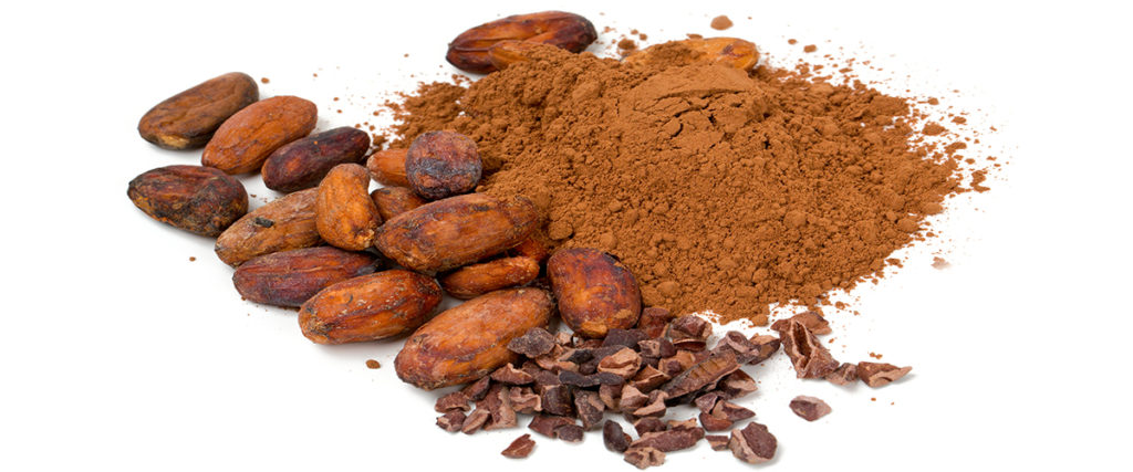 Cacao – The King of the Superfoods