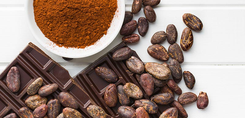 Foodthoughts Organic Cocoa Powder