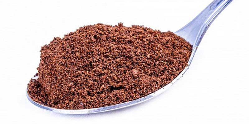 Organic Cocoa: Superfood that Helps Keep Your Body & Soul Fit