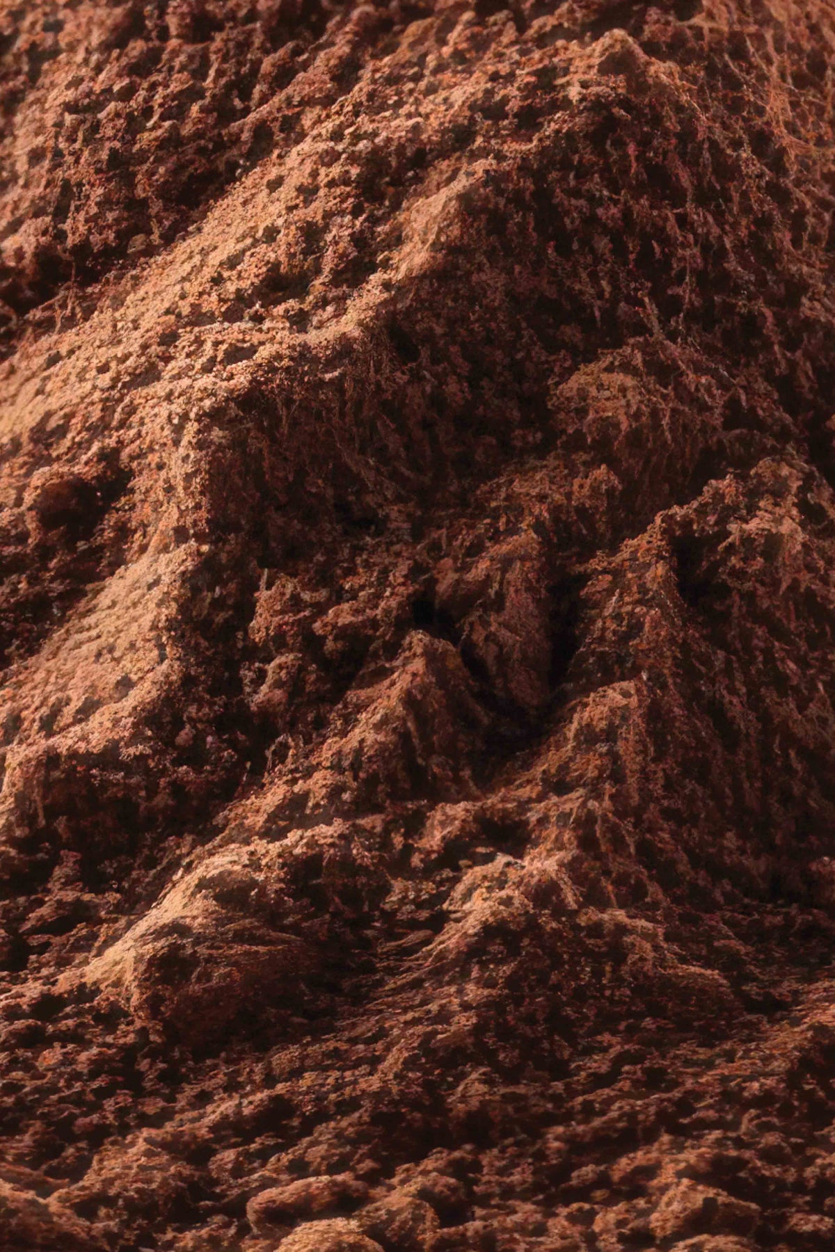 Organic Cacao Powder