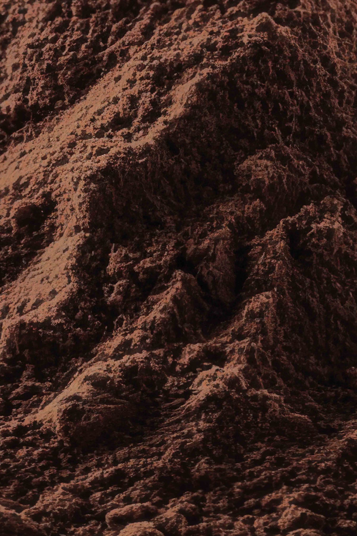 Organic Cocoa Powder